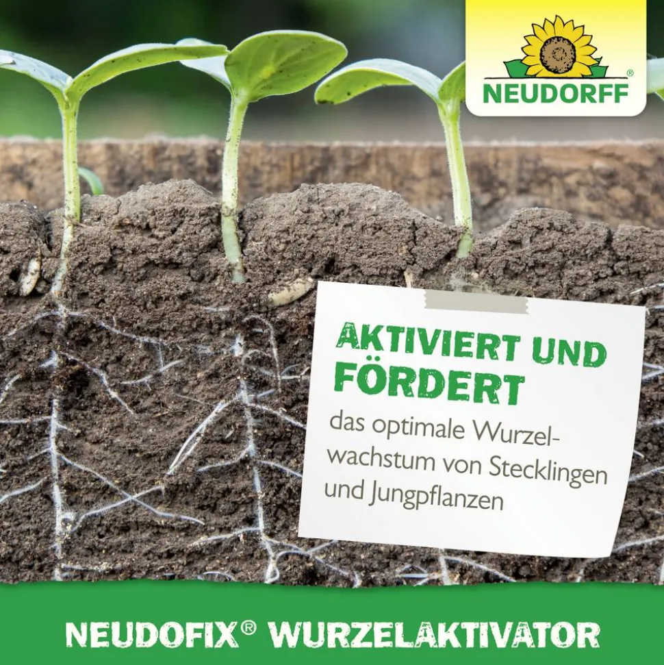 Wurzelaktivator 'Neudofix' 40 g