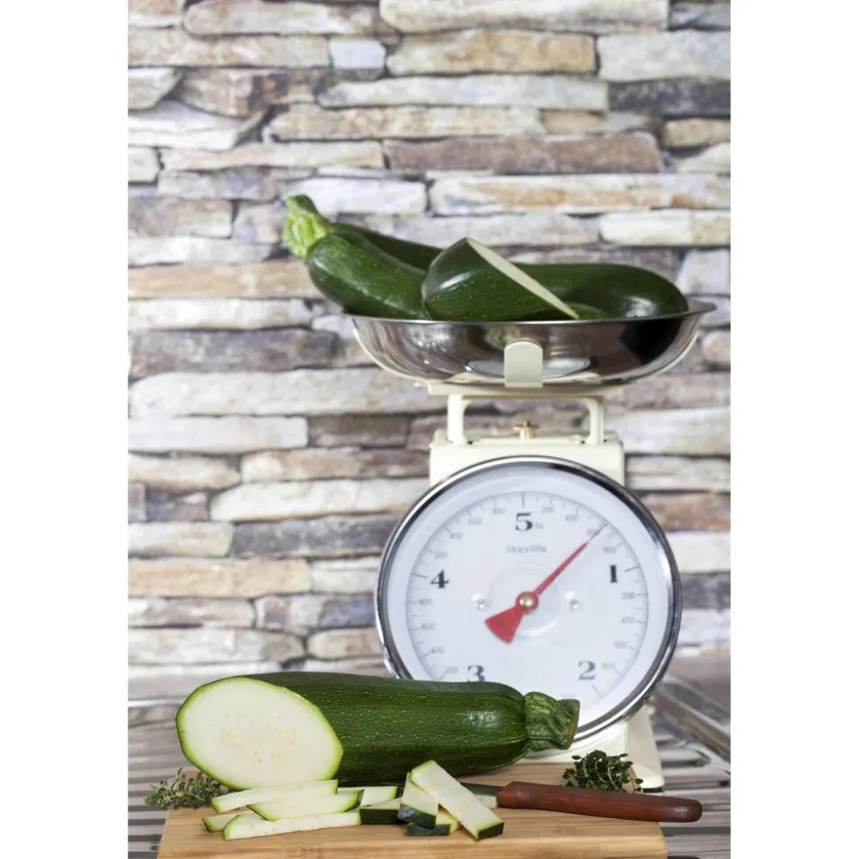 Zucchini-Mix grün, gelb 9 cm Topf, 3er-Set